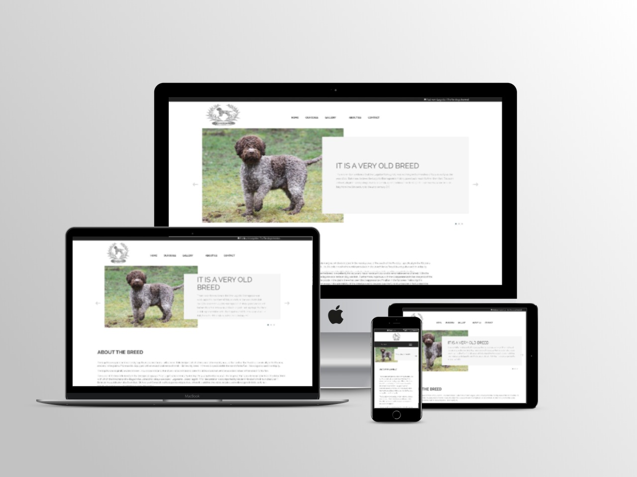 Lagotto Romagnollo Kennel